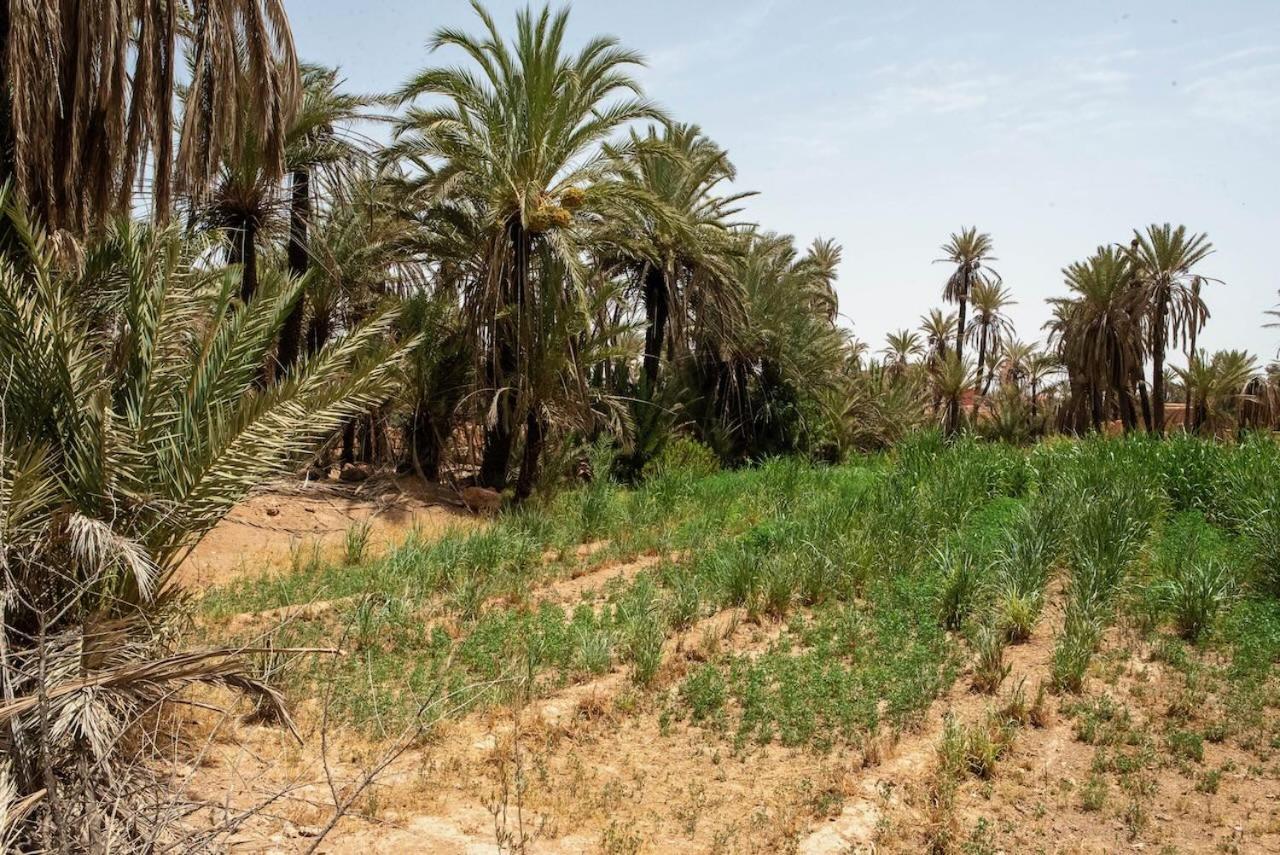 Maison Etoile Du Desert เอท โบคาห์ ภายนอก รูปภาพ