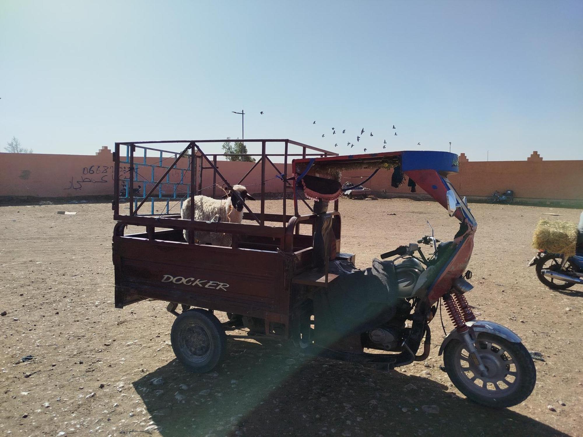 Maison Etoile Du Desert เอท โบคาห์ ภายนอก รูปภาพ