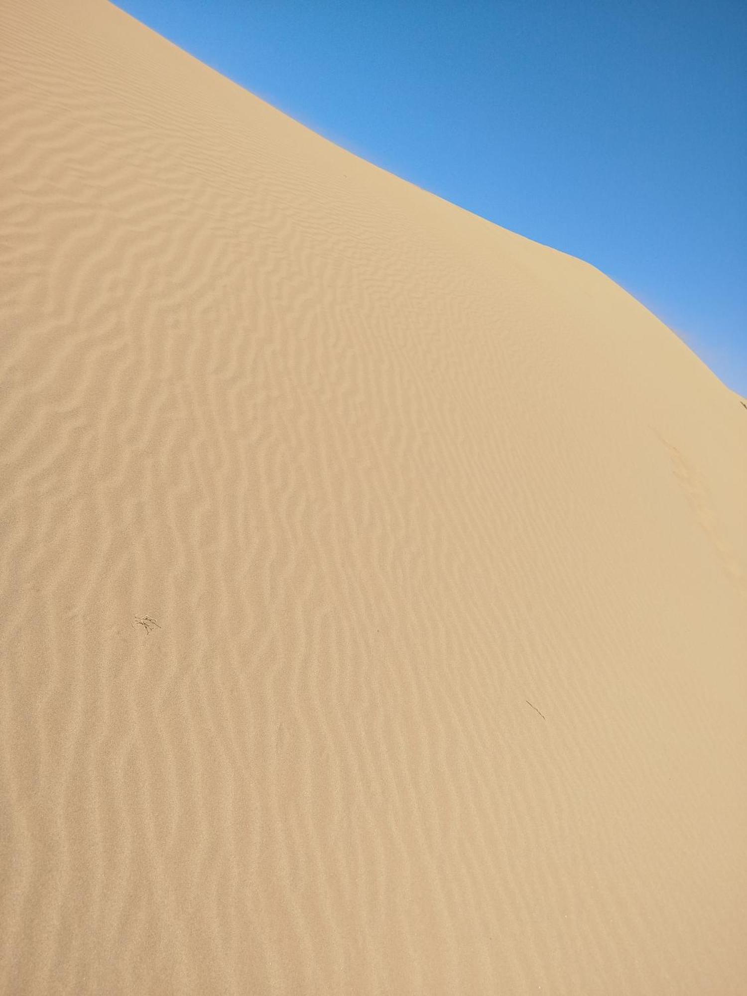 Maison Etoile Du Desert เอท โบคาห์ ภายนอก รูปภาพ